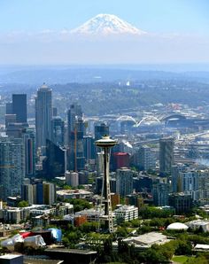 the seattle skyline with mt rain is seen in the foreground, as well as the space needle