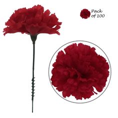 Enhance your weddings and decor with Premium Burgundy Silk Carnation Picks. Bulk pack of 100, featuring 3.5" carnation heads. Perfect for weddings and decorations. Explore their beauty now! Silk Plants, Diy Bouquet, Artificial Plants, Flower Wall