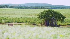 a lone bench sits in the middle of a field