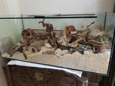 an aquarium filled with lots of different types of animals in it's display case