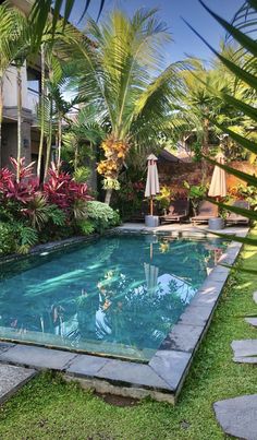 an outdoor swimming pool surrounded by tropical plants