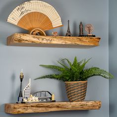 two wooden shelves with decorative items on them and a plant in a pot next to the shelf