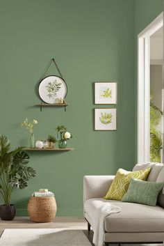 Behr, Green Paint, Vibrant Home, Refresh Gallery Green Behr Paint, Green Colour Interior, Behr Pesto Green, Light Green Wall Paint Colors, Colour Combo For Bedroom, Thai Basil Behr Paint, Cozy Green Paint Colors, Green Accent Wall Paint Colors, Behr Paint Green