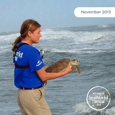 a woman holding a turtle on the beach with waves in the background and an ad for seaworld rescue