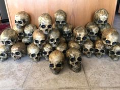 a bunch of skulls that are sitting on the floor