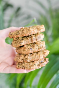 a person holding up a stack of cookies in front of a plant with green leaves