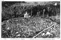 an old black and white photo of a man standing in front of a maze