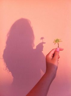 the shadow of a woman holding a small plant in her hand against a pink wall