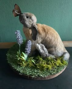 a stuffed rabbit sitting on top of a green moss covered ground next to purple flowers