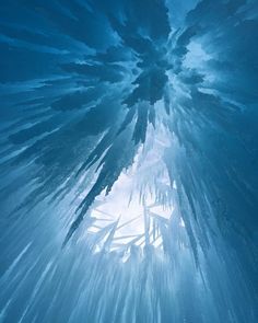 looking up into the sky from below ice covered trees and snowflakes in blue water