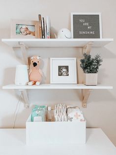 a shelf filled with books and pictures next to a potted plant