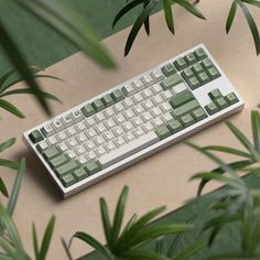 a computer keyboard sitting on top of a wooden table next to green plants and leaves