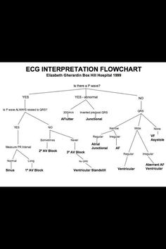 an egg diagram is shown in black and white with the words egg interpretation flow chart