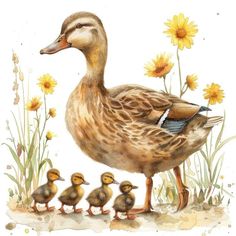 a mother duck with her three baby ducks in front of some daisies and yellow flowers