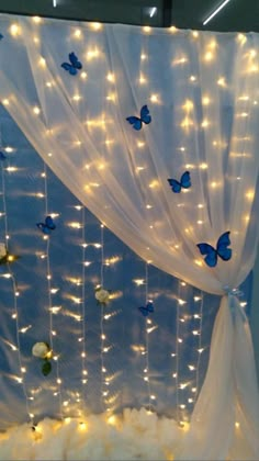 the curtains are decorated with lights and butterflies