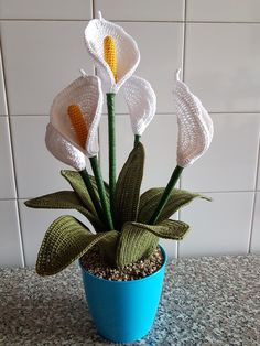 there is a potted plant with white flowers in it on the counter next to a tile wall