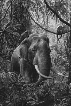 an elephant standing in the middle of a forest with monkeys on its back and trees