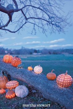 some pumpkins are sitting on the ground near a tree branch with lights all over them