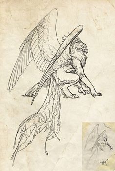 a drawing of a bird with wings and claws on it's back, flying in the air