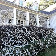 some bushes are growing on the side of a house in front of a white building