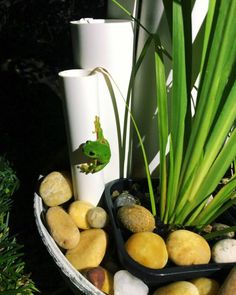 a green frog sitting on top of some rocks next to a plant and a white tube