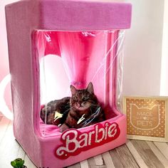 a cat in a pink barbie doll house with the word barbie on it's side