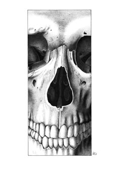 a black and white drawing of a skull with the lower jaw missing from it's left side