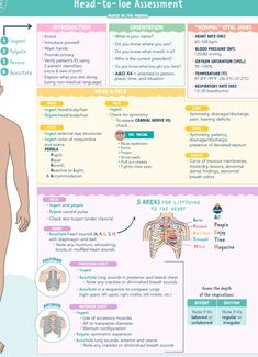 the diagram shows how to use head - to - toe assement for children