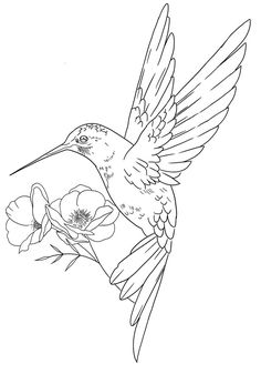 a hummingbird flying with flowers in its beak