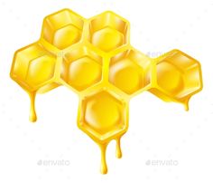 honeycombs with dripping syrup on white background - food objects objects / objects illustrations