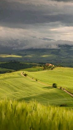 my green view Americore Aesthetic, Toscana Aesthetic, Cottagecore Field, Iphone Wallpapers Hd, Countryside Landscape, Natural Scenery, Alam Yang Indah, Rolling Hills, Wallpapers Hd