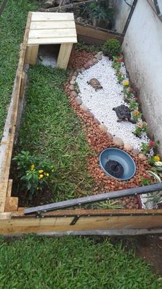 an outdoor area with grass, rocks and plants