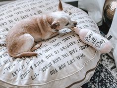 a small dog laying on top of a pillow with a stuffed animal in it's mouth