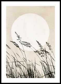 the sun is setting behind tall grass in front of a white background with black border