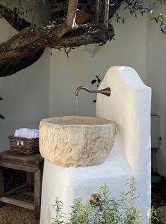 a stone sink in front of a tree