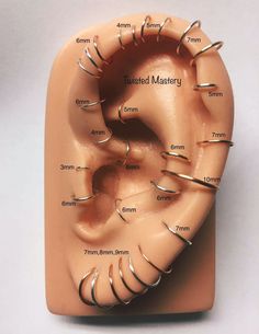 an image of the inside of a fake human ear