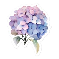 a watercolor drawing of a hydrangea flower