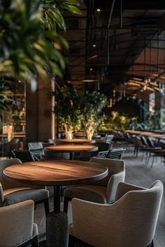 an empty restaurant with tables and chairs in the center, plants growing on the wall