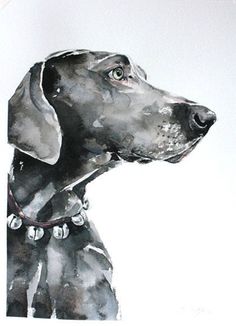 a watercolor painting of a black dog wearing a collar and looking off into the distance