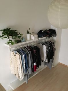 a white shelf with clothes hanging on it and a potted plant next to it