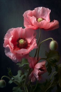 two pink flowers in a vase on a table