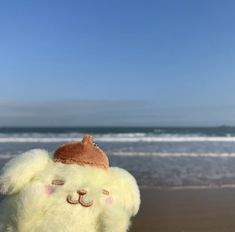 a white teddy bear with a brown hat on it's head at the beach