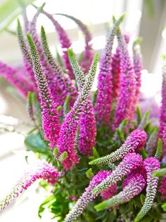 purple flowers are in a vase on the table