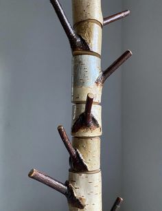 a tall white tree with several branches sticking out of it's sides and some brown trunks