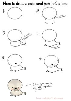 how to draw seal pup in 6 steps step by step drawing instructions for kids and adults