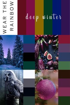 Deep Winter Wedding Colors, Deep Winter Aesthetic Outfits, Deep Winter Jewel Tones, Deep Winter Dress, Deep Winter Color Combinations, Created Colorful Deep Winter, Winter Deep Outfits, Burnished Winter