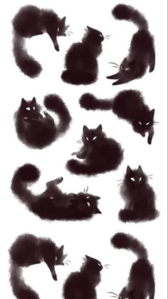 black cat silhouettes are shown in different positions, including one laying on the ground