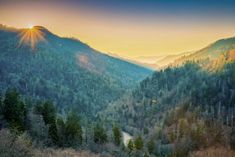 the sun shines brightly over a valley with trees and mountains in the background at sunset