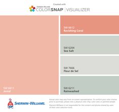 the color scheme for colorsnap visualizer