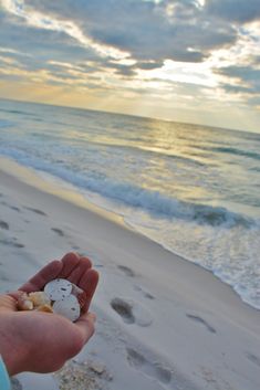 a person is holding something in their hand on the beach near the ocean at sunset